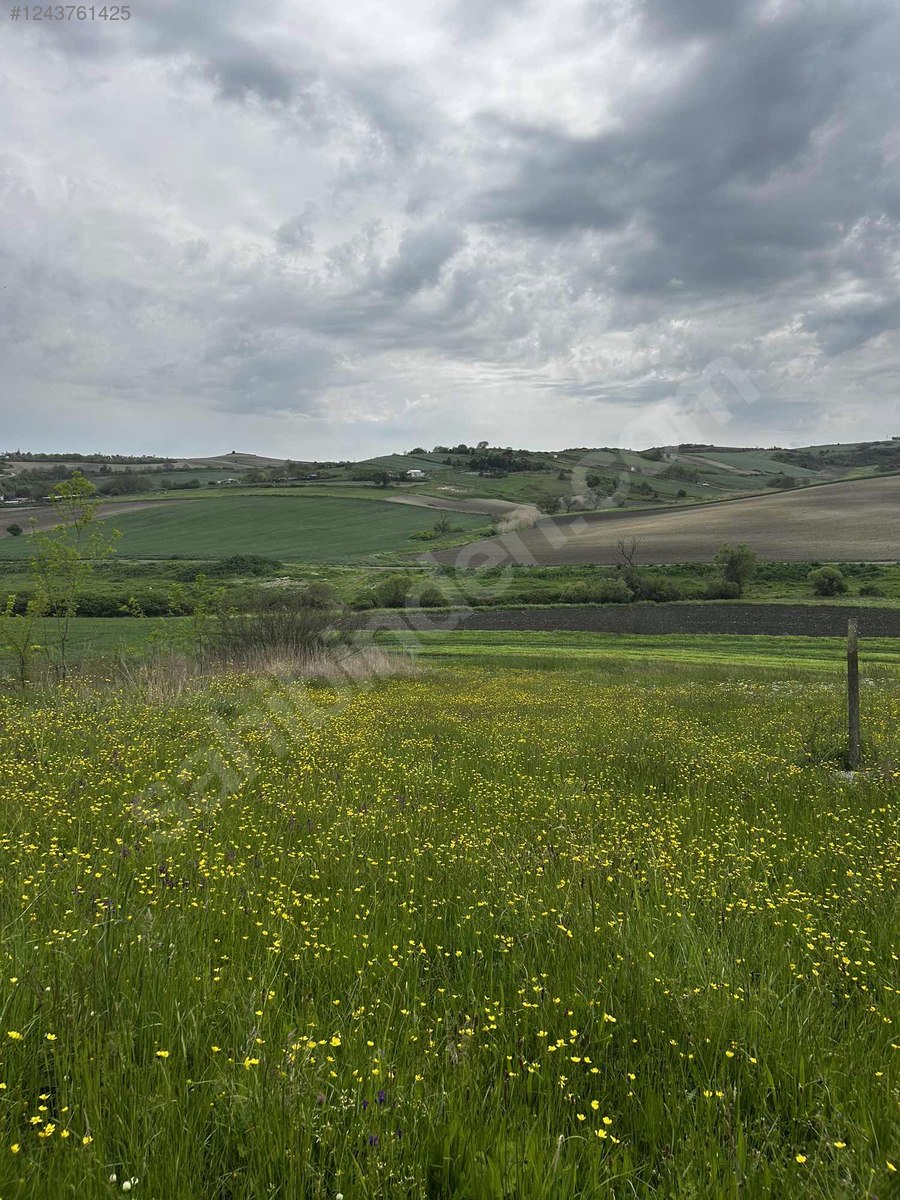 Dursunköy'de İmarlı Satılık 277M Arsa - İSTANBUL ARNAVUTKÖY fotoğraf 2